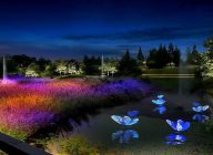 "‘고품격 문화도시’ 천안의 밤, 빛으로 물든다" 하나네트웍스 제품기사