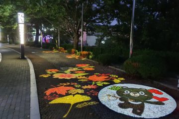 김천 연화지 하나네트웍스 제품기사