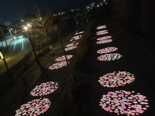 강릉 오죽헌 고보조명