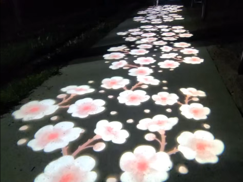 강릉 달빛산책로 고보조명