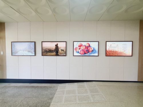서산 인지초등학교 블루캔버스 설치