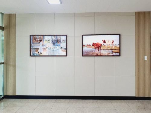 당진 송악중학교 블루캔버스 설치