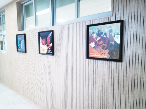 보령 대관초등학교 블루캔버스 설치