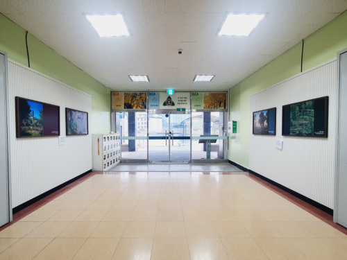 천안 부대초등학교 블루캔버스 설치