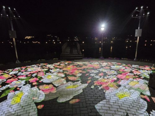 아산 신정호 고보조명