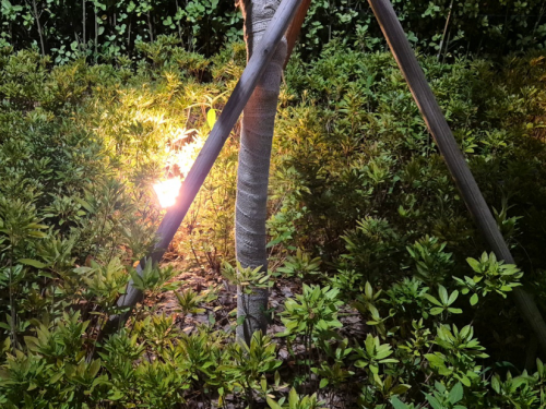 쌍용14공원 수목투광등