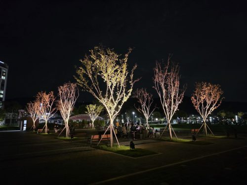 천안 삼거리공원 수목투광등