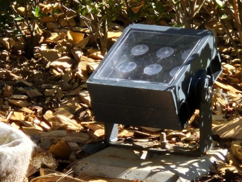 충남도립대 수목투광등