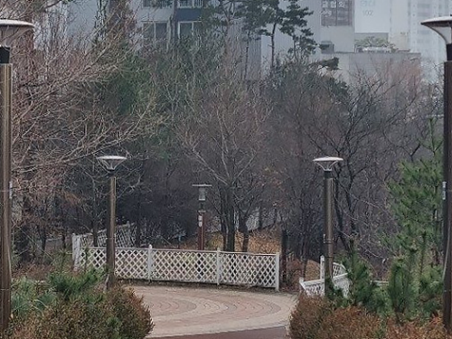 노원구청 공원등