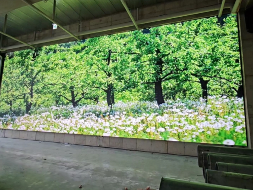 대전 폴레폴레 동부점